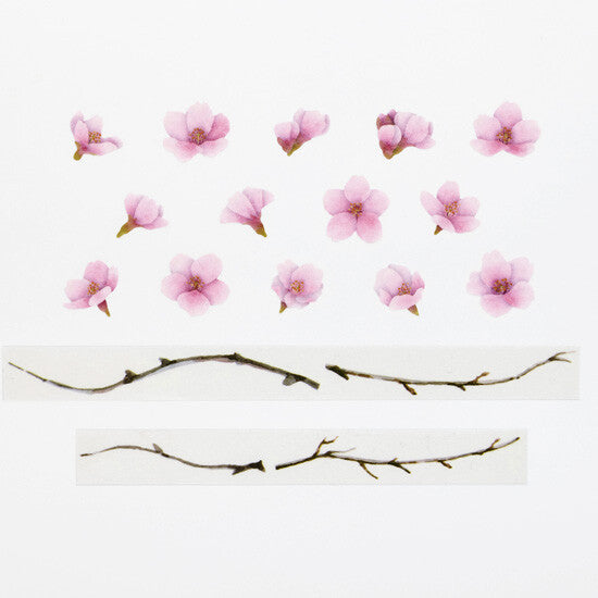 Bande Kawazu Cherry Blossom set showing 14 individual blossom sticker designs and coordinating branch masking tape