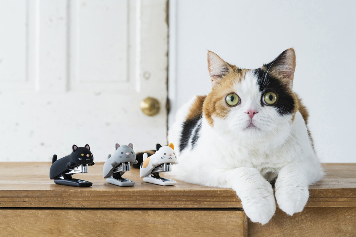 MAX Silicone Stapler Vol. 5 Cat lifestyle image with a cat and three stapler designs